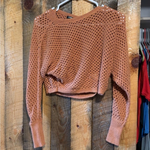 Express Tops - express crop sweater